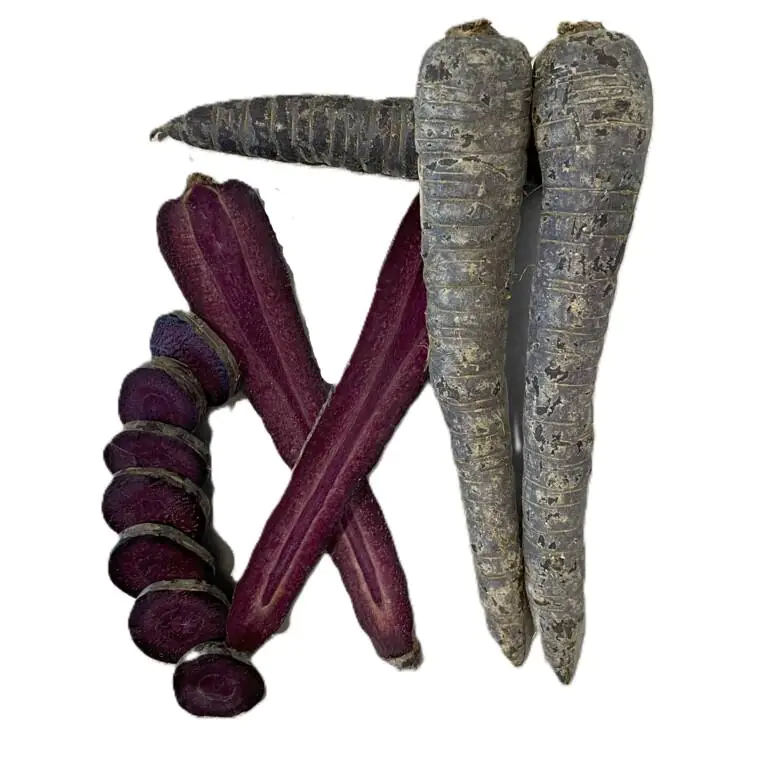 black carrot.webp